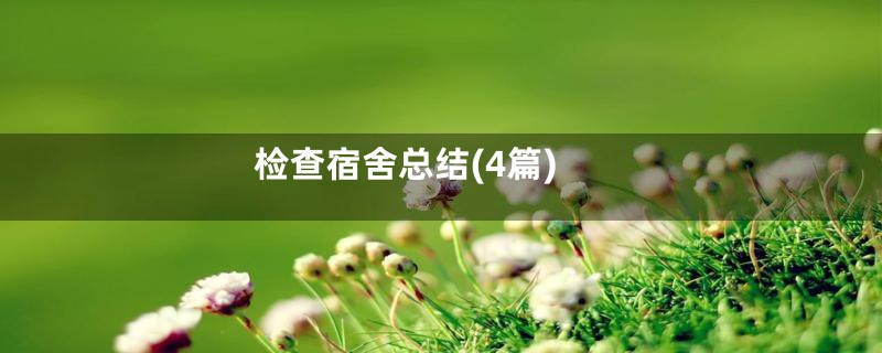 检查宿舍总结(4篇)