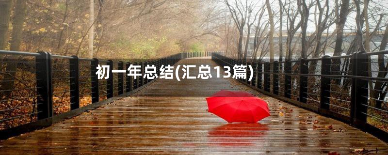 初一年总结(汇总13篇)