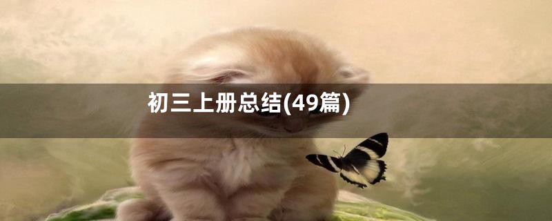 初三上册总结(49篇)