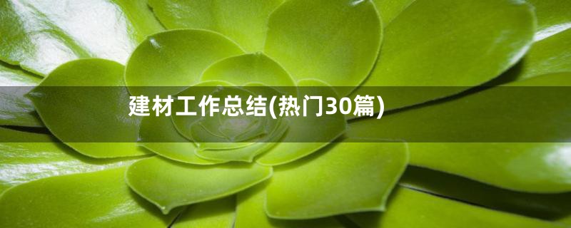 建材工作总结(热门30篇)