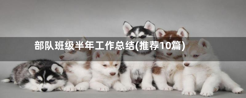 部队班级半年工作总结(推荐10篇)