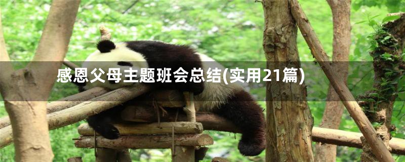 感恩父母主题班会总结(实用21篇)