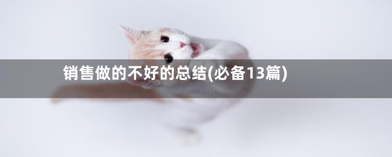 销售做的不好的总结(必备13篇)