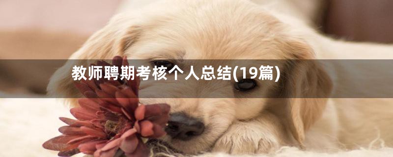 教师聘期考核个人总结(19篇)