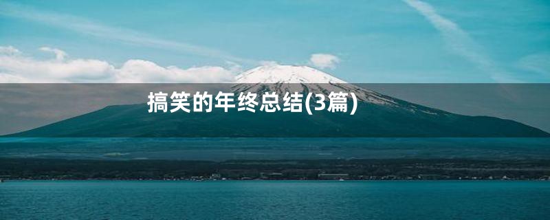 搞笑的年终总结(3篇)