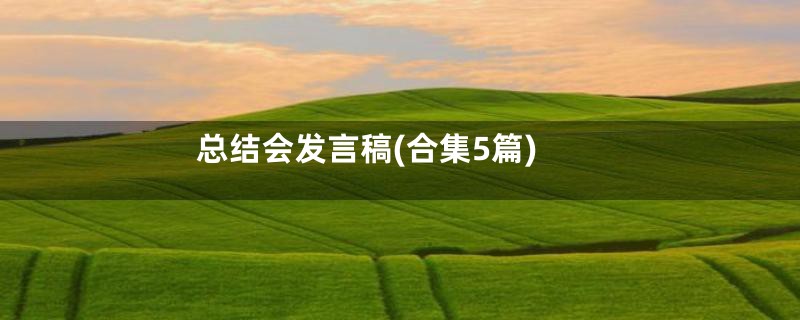 总结会发言稿(合集5篇)