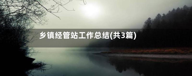 乡镇经管站工作总结(共3篇)