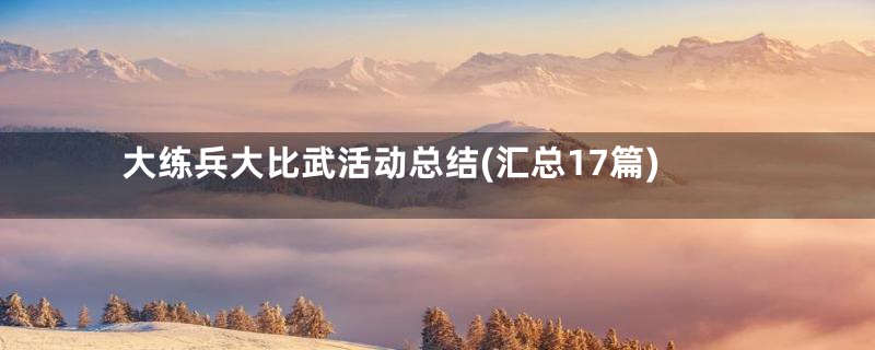 大练兵大比武活动总结(汇总17篇)