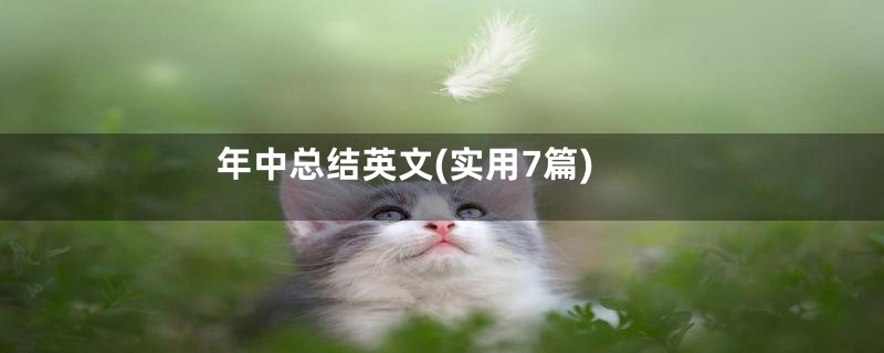 年中总结英文(实用7篇)