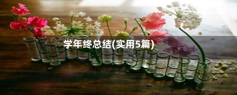 学年终总结(实用5篇)