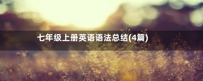 七年级上册英语语法总结(4篇)