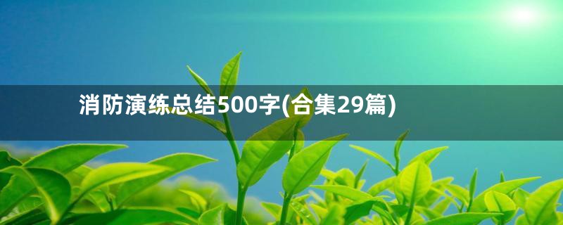 消防演练总结500字(合集29篇)