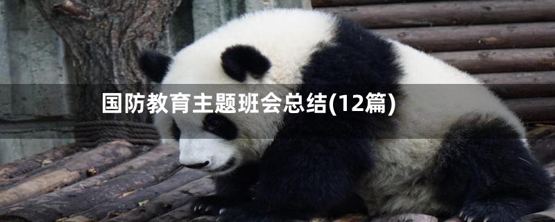 国防教育主题班会总结(12篇)