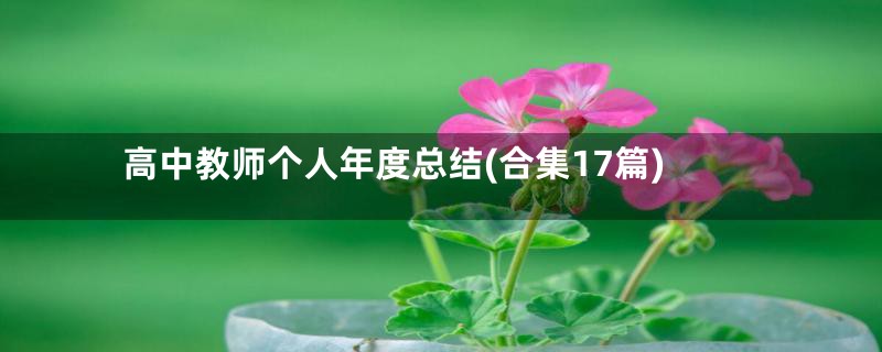 高中教师个人年度总结(合集17篇)