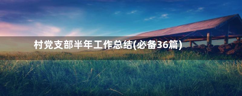 村党支部半年工作总结(必备36篇)