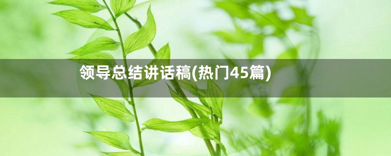 领导总结讲话稿(热门45篇)