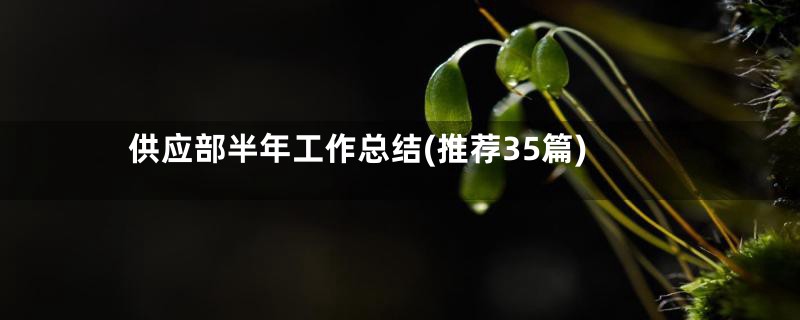 供应部半年工作总结(推荐35篇)