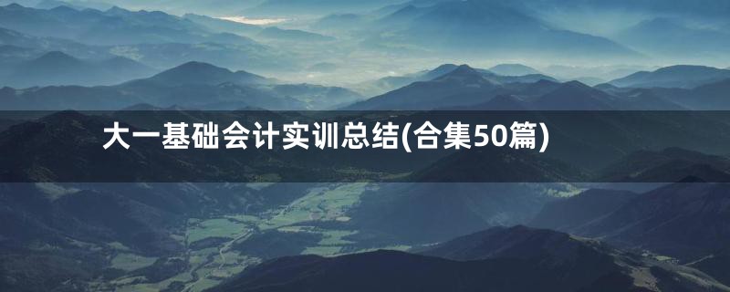 大一基础会计实训总结(合集50篇)