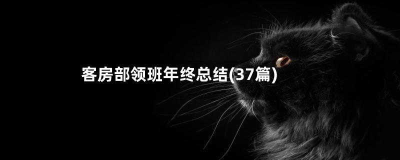 客房部领班年终总结(37篇)