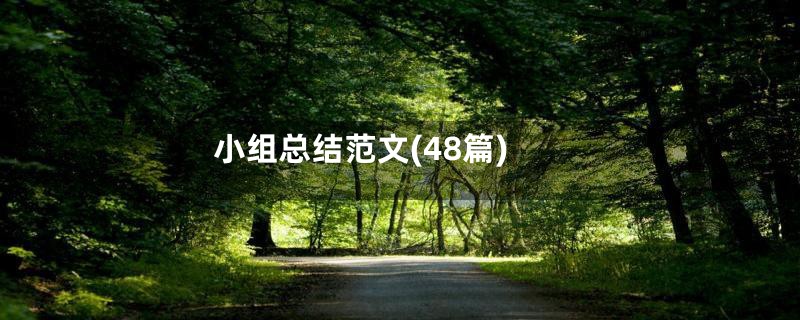 小组总结范文(48篇)