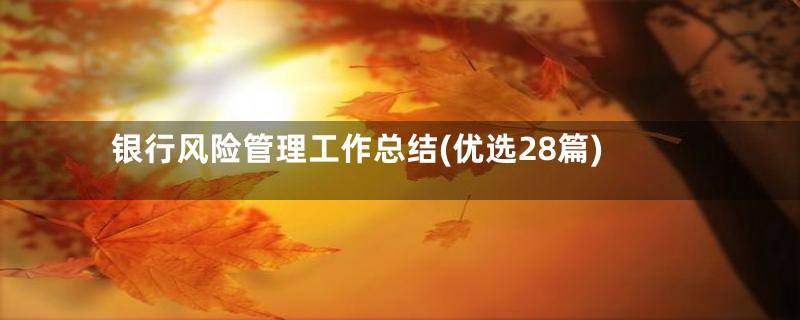 银行风险管理工作总结(优选28篇)
