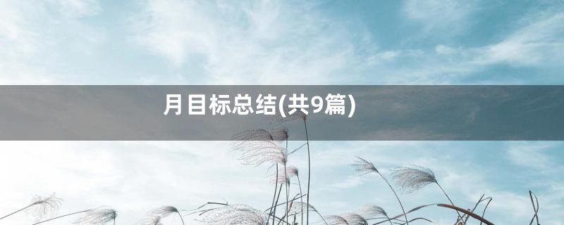 月目标总结(共9篇)