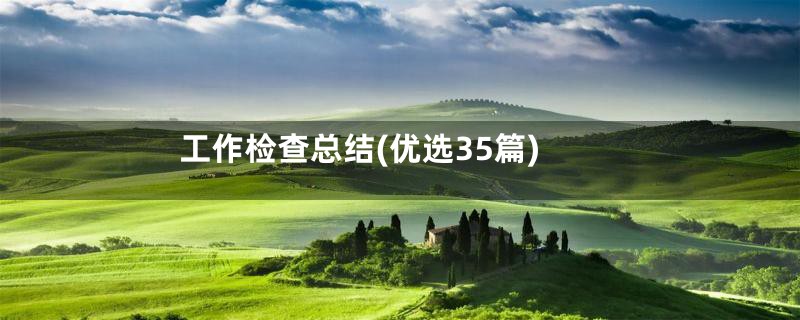工作检查总结(优选35篇)