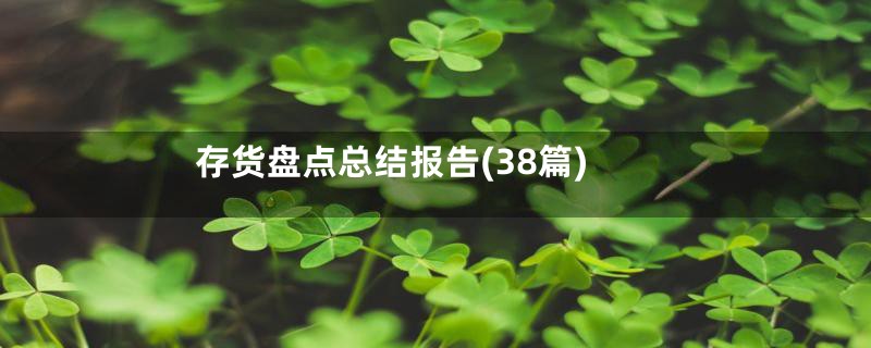 存货盘点总结报告(38篇)