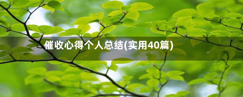 催收心得个人总结(实用40篇)