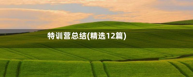 特训营总结(精选12篇)