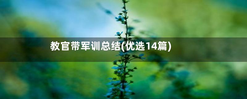 教官带军训总结(优选14篇)