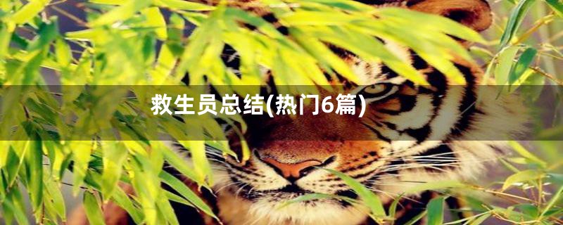 救生员总结(热门6篇)