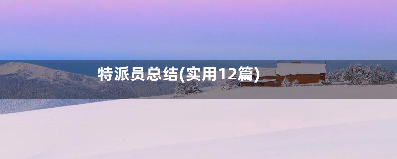 特派员总结(实用12篇)