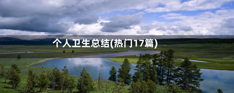 个人卫生总结(热门17篇)