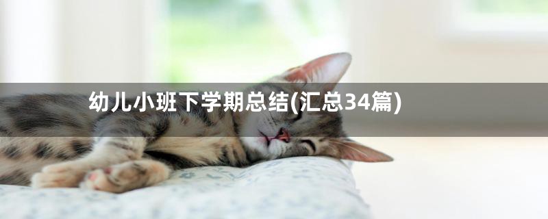 幼儿小班下学期总结(汇总34篇)