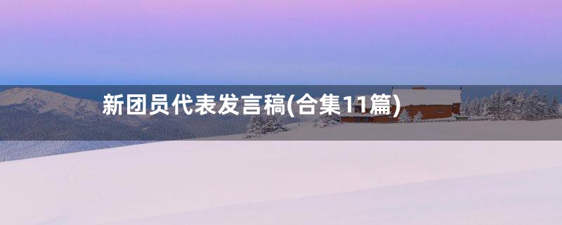 新团员代表发言稿(合集11篇)