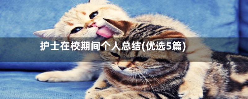 护士在校期间个人总结(优选5篇)
