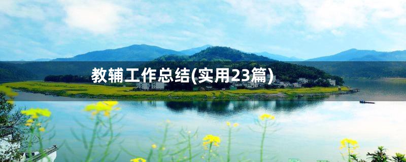 教辅工作总结(实用23篇)