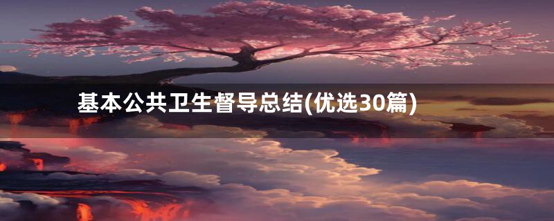 基本公共卫生督导总结(优选30篇)