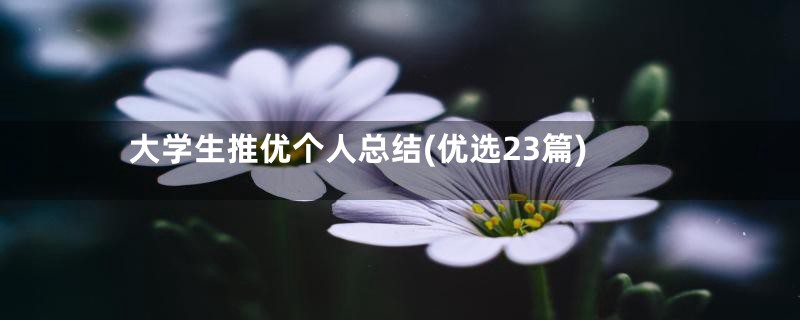 大学生推优个人总结(优选23篇)