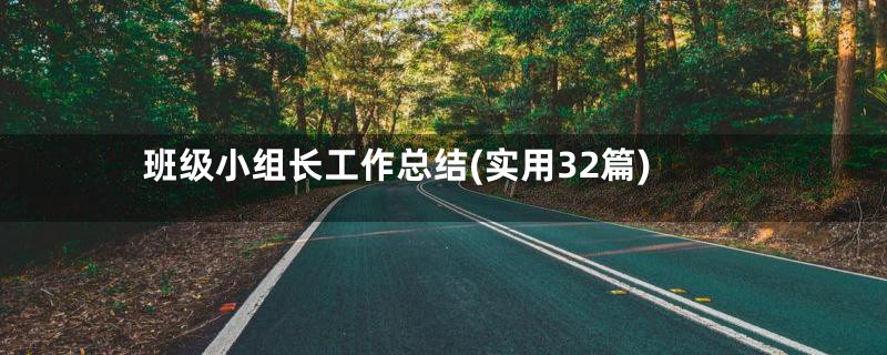 班级小组长工作总结(实用32篇)
