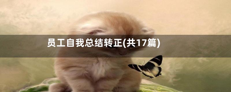 员工自我总结转正(共17篇)