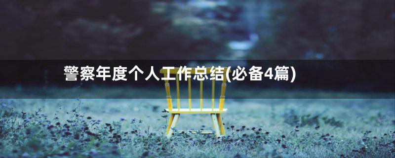 警察年度个人工作总结(必备4篇)