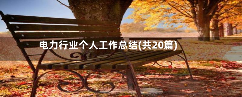 电力行业个人工作总结(共20篇)