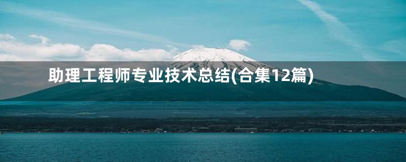 助理工程师专业技术总结(合集12篇)