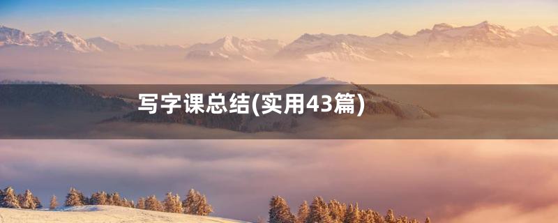 写字课总结(实用43篇)