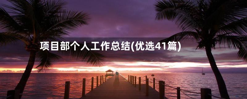 项目部个人工作总结(优选41篇)