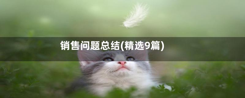 销售问题总结(精选9篇)