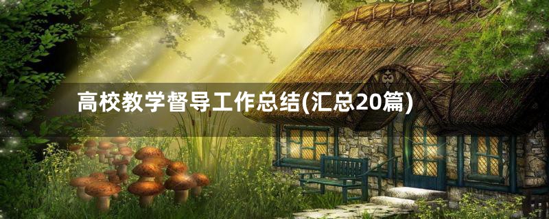 高校教学督导工作总结(汇总20篇)