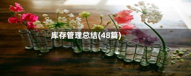 库存管理总结(48篇)